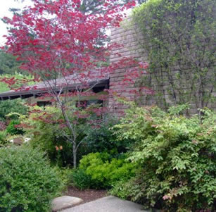 Oak Woodland Hideaway Garden